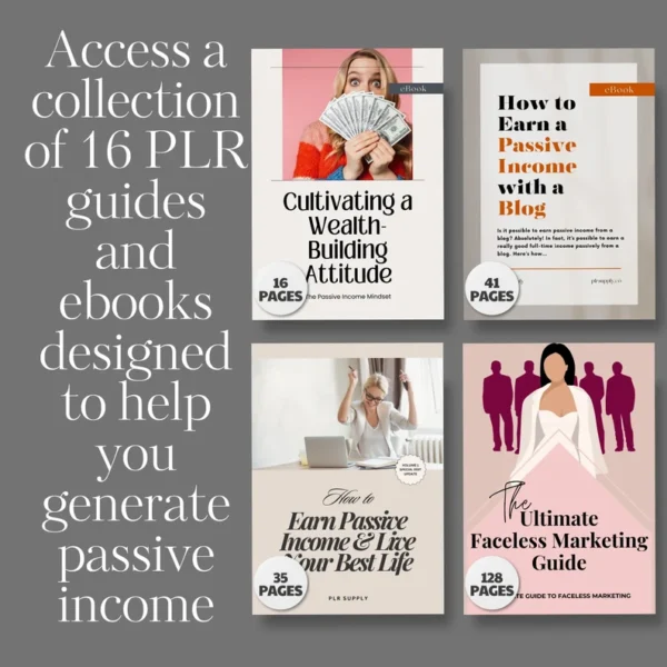 Make Money Online Done For You Course PLR MRR Bundle Ready to Sell MRR Courses Digital Marketing Course to Sell on Master Resell Rights - Image 3