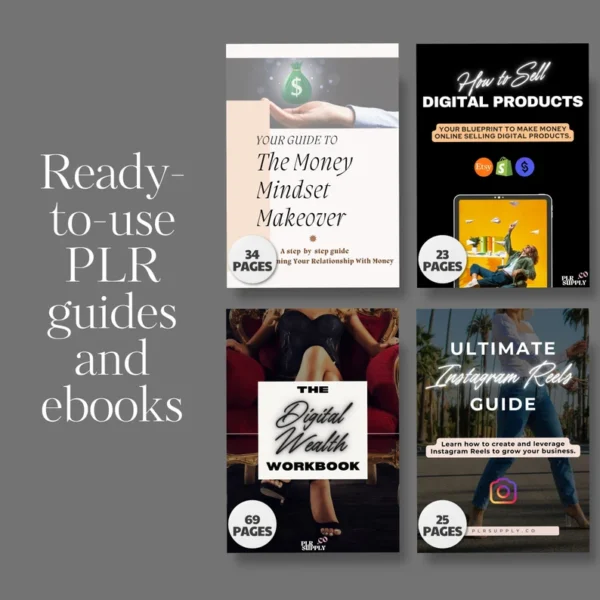 Make Money Online Done For You Course PLR MRR Bundle Ready to Sell MRR Courses Digital Marketing Course to Sell on Master Resell Rights - Image 4