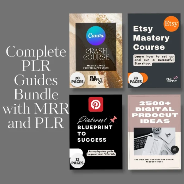 Make Money Online Done For You Course PLR MRR Bundle Ready to Sell MRR Courses Digital Marketing Course to Sell on Master Resell Rights - Image 5