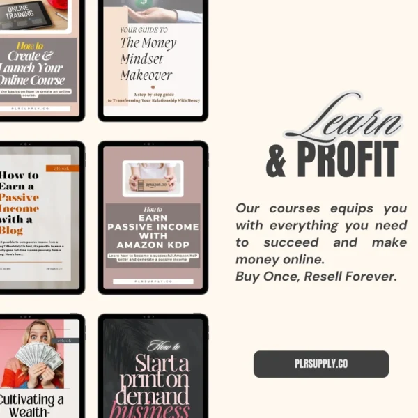 Make Money Online Done For You Course PLR MRR Bundle Ready to Sell MRR Courses Digital Marketing Course to Sell on Master Resell Rights - Image 6